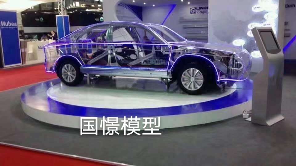 辉县市透明车模型